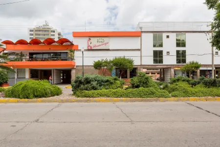 Hotel Flamingo Irapuato Отели в г. Ирапуато