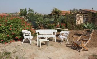 B&b Il Giardino Degli Agrumi