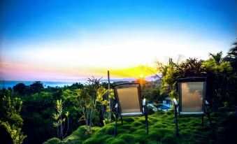 Villa Maria Tayrona, Jungle and Sea Experience