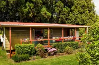Relax a Lodge Các khách sạn gần Palmco Garden