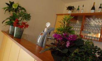 Hotel am Pan