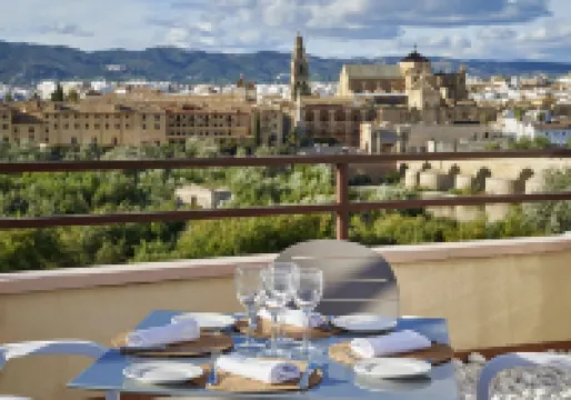 科爾多瓦霍斯波利亞酒店