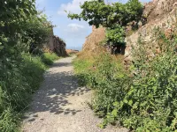 "Seba" - 500m from the Sea