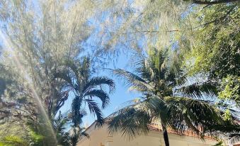 1. Hawaii R..