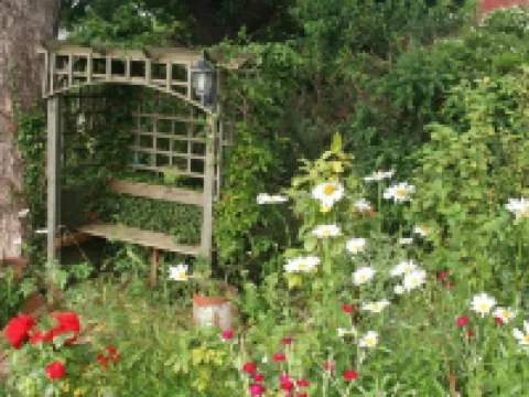 Glan Heulog Hotels near Conwy