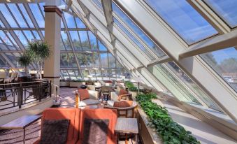 a modern , well - lit living room with large windows and wooden furniture , including couches and tables at Hilton Houston Westchase