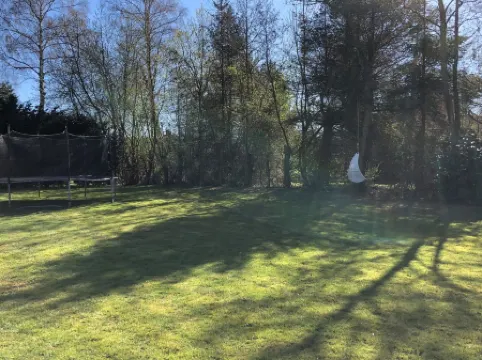 "Harald" - 300m from the Sea