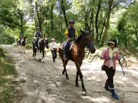 Eo No Mori Kensyu Center Hotel a Miki