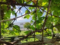 BB Yoshida A Relaxing Inn Surrounded by Greenery Hotels in Ebetsu