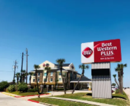 Best Western Plus Seawall Inn  Suites by the Beach Hotels near Seawolf Park