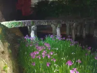 Moritaya Hotels in Tamana