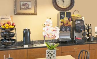 Super 8 by Wyndham San Antonio Downtown NE