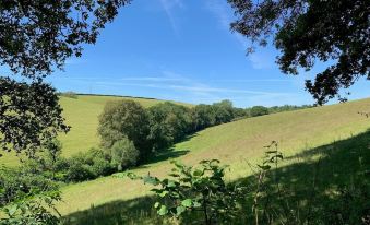 Tregondale Manor Farm