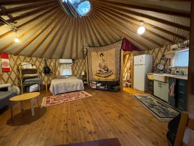 Yurt Located in a Little Oak Grove