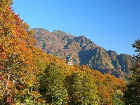 Muica Onsen Hotel Отели в г. Минамиуонума