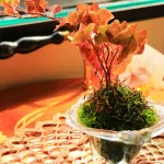 Blanche Mori Hotels in Hokuto