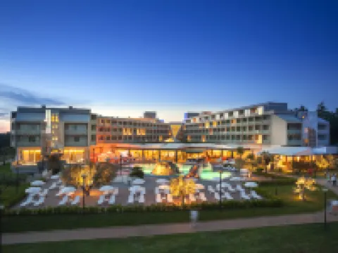 Aminess Vival Maestral Hotel Hotels in Novigrad