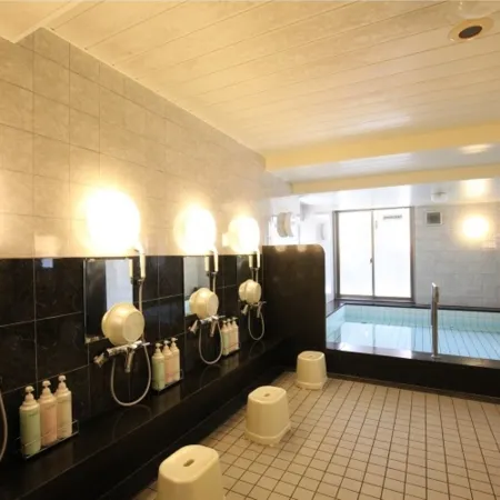 Az Inn Fukui (Ace Inn Fukui)
