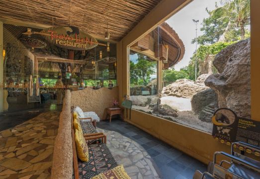 Mara River Safari Lodge의 객실에서 보이는 얼룩말