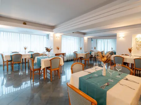 Hotel Excelsior Отели в г. Тимишоара