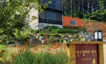 Daebudo Ann's Gallery Pension