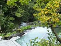 Kaniyu Hotels near Shirane Mountain