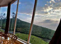 Magic Mist Resort