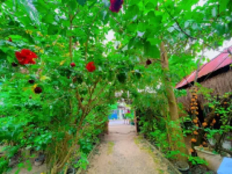 Soeliana Resort Hotels in General Luna