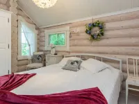 Torniniemi Hotels in Punkaharju