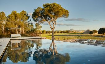 Finca Sestelrica