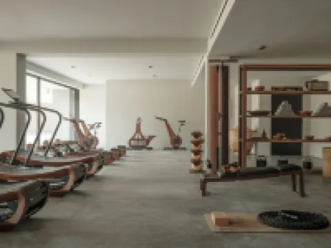 Oku Ibiza
