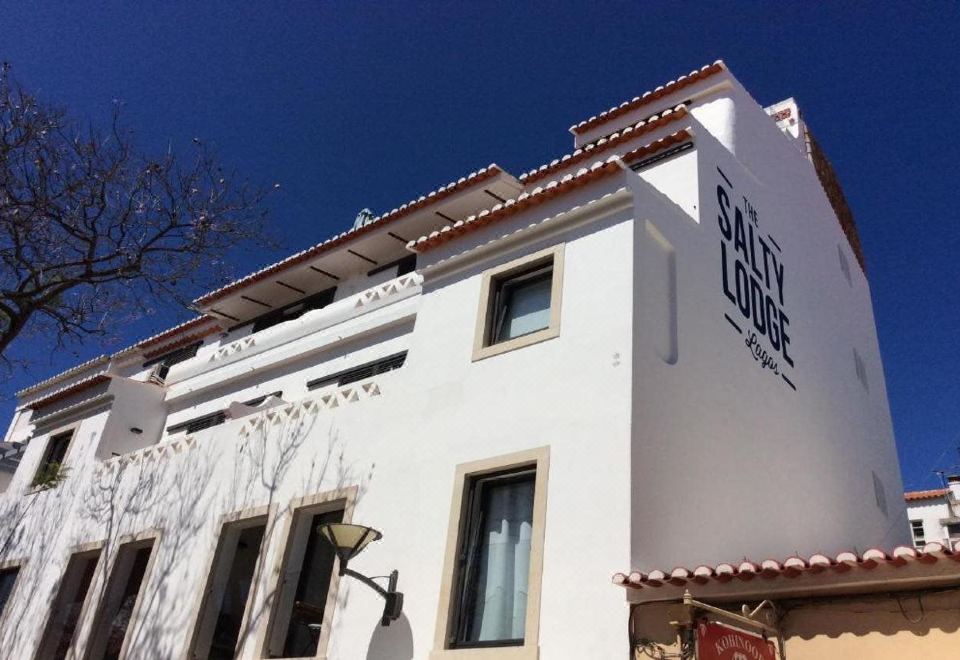 2. 더 솔티 로지..