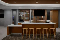 大急流城機場東南萬豪SpringHill酒店 - 酒吧