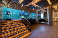 Safi Royal Luxury Metropolitan - gimnasio