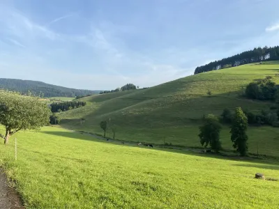 Double Room Linden Blossom Hotel a 