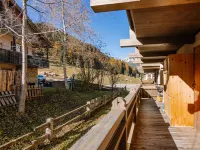 Fontanelle