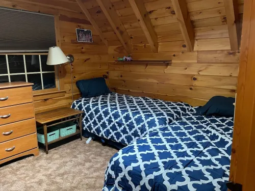 Perfect cozy cabin w/ tree house on 3 acres of woods near skiing, hiking & DWG