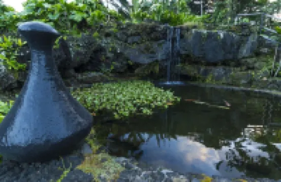 Oceanfront #3 at Hana Kai Maui - 1 Bedroom Corner Unit 100ʻ from Water!