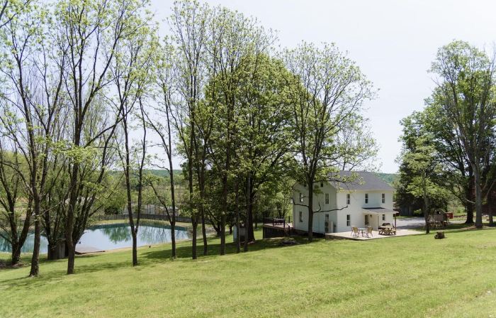 Secluded Valley Oasis with Swimming Pond, Spa, Firepit, 3Bd/2BA, Family Friendly