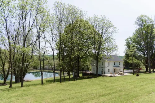 Secluded Valley Oasis with Swimming Pond, Spa, Firepit, 3Bd/2BA, Family Friendly