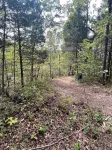 Gorgeous large rental home in Lesterville MO just minutes from Blackwater River.