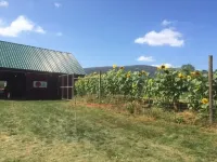 Trail Treasures Great Hikes for All.