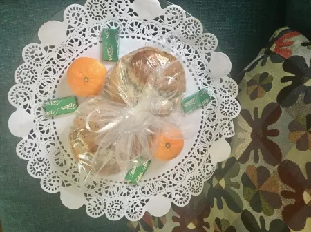 Magical Puget Sound Beachfront Cottage --Panoramic View +Kayaks, Hiking, Birds!