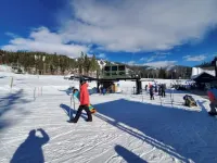 A Cabin by the Creek in beautiful Northwest Montana. فنادق في Flathead County