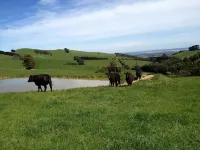 Nirvana House Farm Stay in Woolamai with incredible 360 degree views 울라마이 호텔