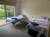 Magnolia Magic on Martha's Mountain