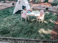 Beat the Heat -  North Oakland Home Ready for Your Family’s Summer Fun! Hotels near University of California Botanical Garden