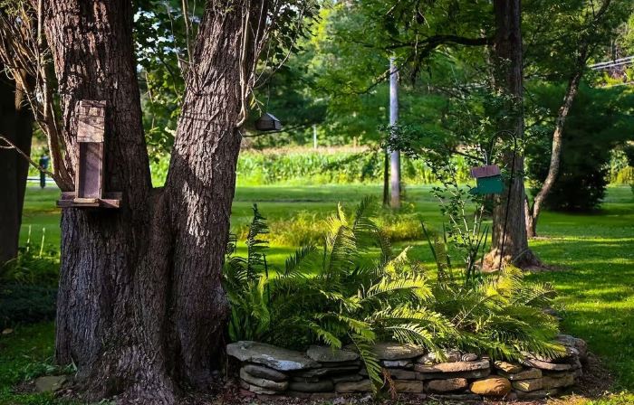 Creekside Cottage - Charming 3-bedroom cottage in Bellville