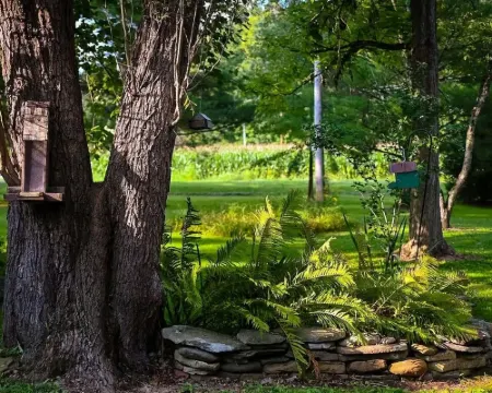 Creekside Cottage - Charming 3-bedroom cottage in Bellville Hotels in Washington Township