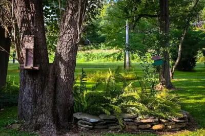 Creekside Cottage - Charming 3-bedroom cottage in Bellville Hotels near The Blueberry Patch